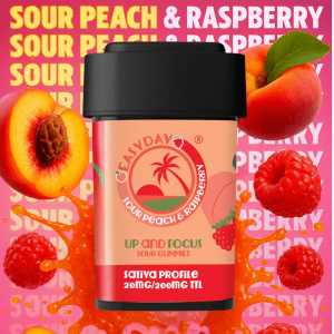 Up & Focus Gummies (20 mg) by EasyDay (Sativa)