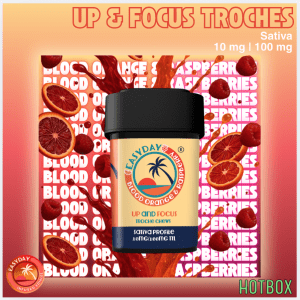 Up & Focus Chews (10 mg) by EasyDay (Sativa)