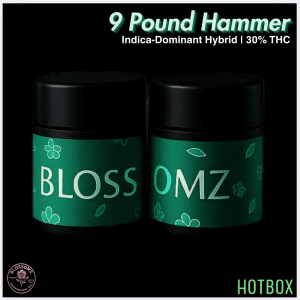 9 Pound Hammer by Blossomz (Indica)
